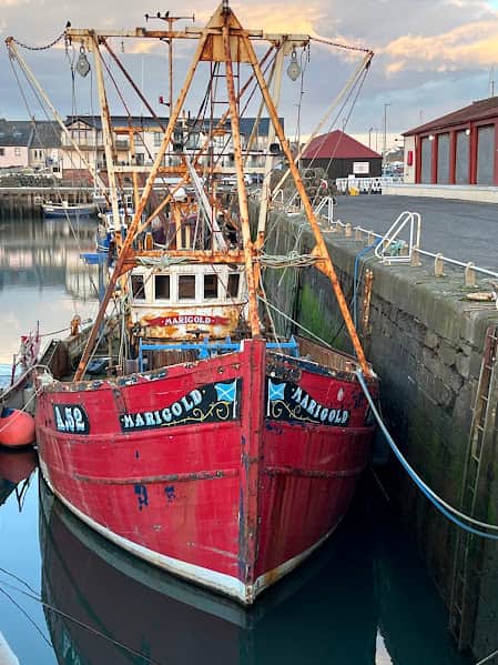 Arbroath Harbour Spring 6 2025